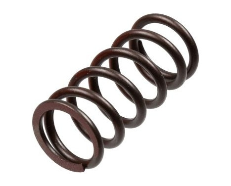 Clutch Spring Set