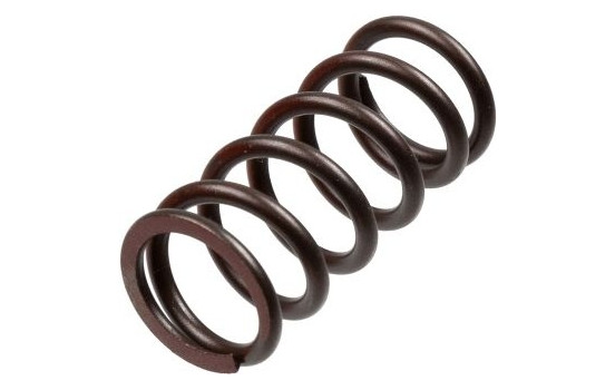 Clutch Spring Set