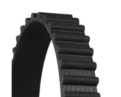 Timing Belt, Image 3