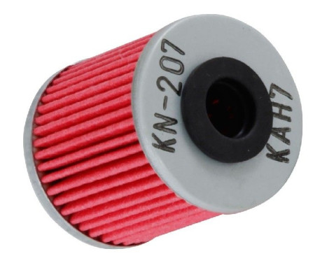 Cartouche de moto de filtre à huile K&N (KN-207)
