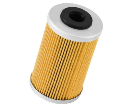 Cartouche de moto de filtre à huile K&N (KN-655)