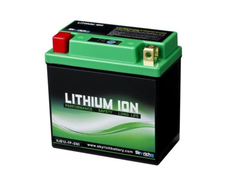 Skyrich Lithium-Ion LB12A-A 4 Ah