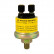 Capteur de pression d'huile pour instruments de performance 0-10 bars, 3-160ohm.