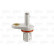 Capteur d'arbre à cames OPLEL GM 253869 Valeo, Vignette 2