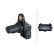 Capteur, position d'arbre à cames 6PU 009 121-391 Hella