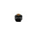 Capteur de cognement 0 261 231 337 Bosch