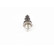 Capteur, pression de carburant CR/RPS418/1800/KS Bosch, Vignette 8