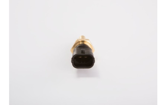 Capteur, température de carburant TF-W Bosch, Image 9