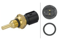 Sonde de température, liquide de refroidissement