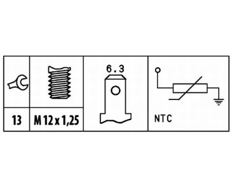 Sonde de température, liquide de refroidissement, Image 2