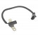 Capteur d'angle, vilebrequin ADA107203C Blue Print, Vignette 2