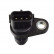 Capteur d'angle, vilebrequin ADG072116 Blue Print, Vignette 2
