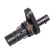 Capteur d'angle, vilebrequin ADG072124 Blue Print