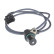 Capteur d'angle, vilebrequin ADG07256 Blue Print