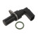 Capteur d'angle, vilebrequin ADJ137232 Blue Print