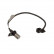 Capteur d'angle, vilebrequin ADT37216 Blue Print