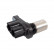 Capteur d'angle, vilebrequin ADT37218 Blue Print, Vignette 2