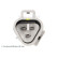 Capteur d'angle, vilebrequin ADT37248 Blue Print, Vignette 4