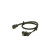 Capteur d'angle, vilebrequin DG-6-K Bosch