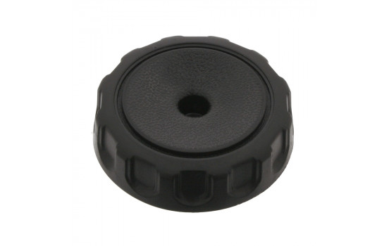 Élément d'ajustage du dossier