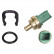 Sonde de température, liquide de refroidissement 36038 FEBI