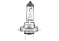 Hella Valuefit H7, 24V70W