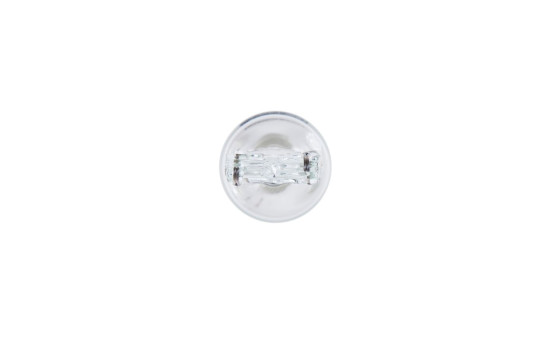 Bosch 12V 21W, W21W, W3x16d, Image 5