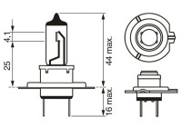 Bosch H7 STD 12V 55W