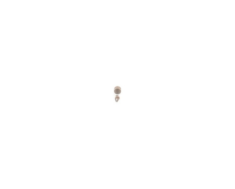 Bulb, interior light Pure Light WS, Image 8