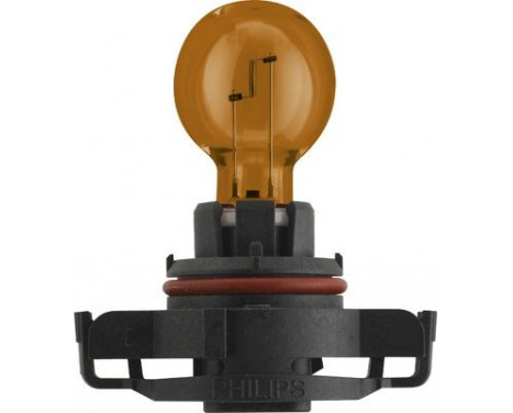 Bulb, Image 2