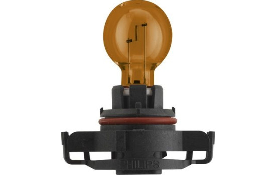 Bulb, Image 2
