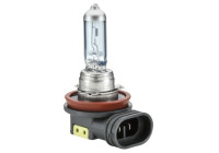 Hella Blue Light H8, 12V35W