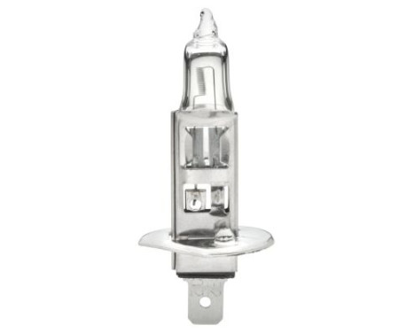 Hella Standard H1, 12V55W