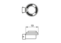 Light bulb, headlamp