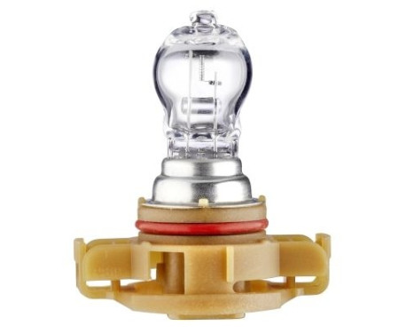 Light bulb, reversing light, Image 2