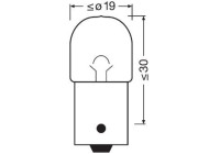 Light bulb, reversing light