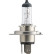 Philips LongLife EcoVision - H19 - 12 V, 60/55W - 12644LLC1