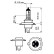 Philips LongLife EcoVision - H19 - 12 V, 60/55W - 12644LLC1, Thumbnail 2