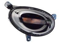DAYLIGHT RIGHT 1618958 Van Wezel