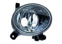 Fog lamp 1018088 Diederichs