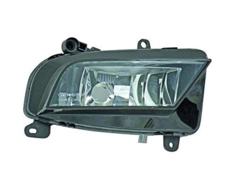 Fog lamp 1019088 Diederichs