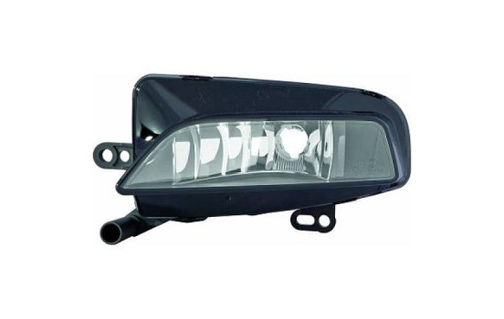 Fog lamp 1033188 Diederichs
