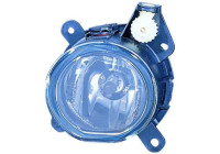 Fog lamp 1205089 Diederichs