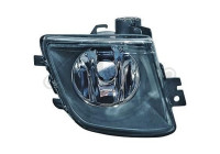Fog lamp 1244088 Diederichs