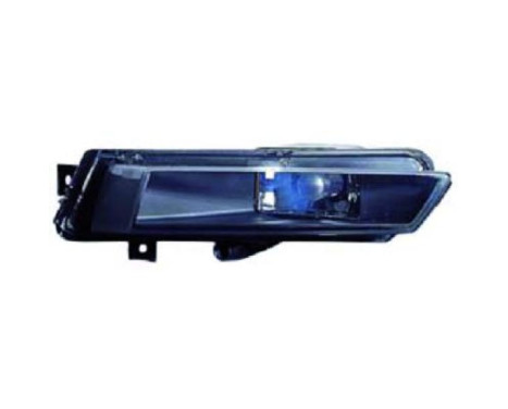 Fog lamp 1280189 Diederichs