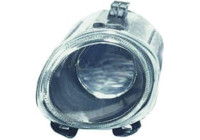 Fog lamp 1290089 Diederichs
