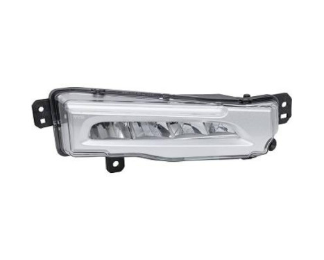 Fog lamp 1293188 Diederichs