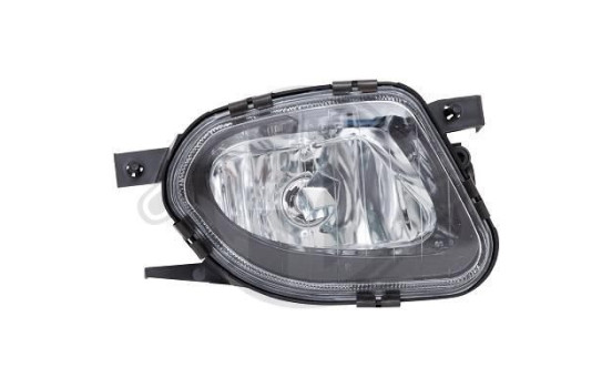 Fog lamp 1615688 Diederichs