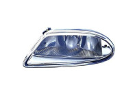 Fog lamp 1690189 Diederichs
