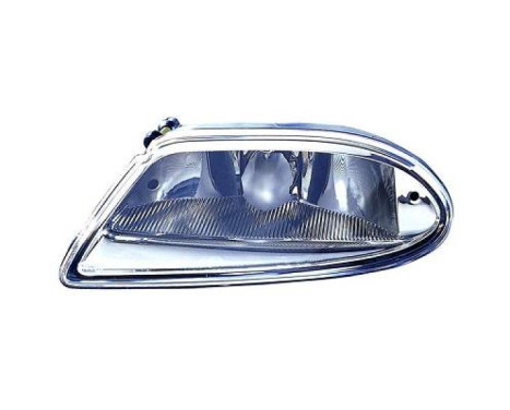 Fog lamp 1690189 Diederichs